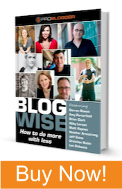 Blog Wise: How to Do More with Less eBook cover